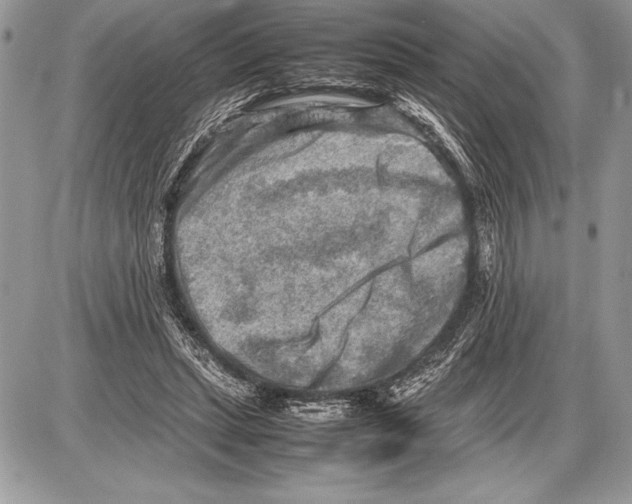 X0000085730447200704131623