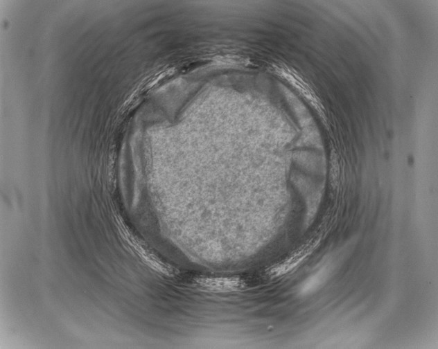 X0000085730449200704131623