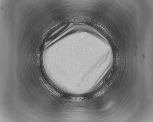 X0000085730450200704131623