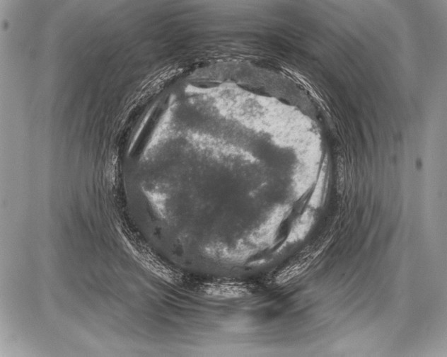 X0000085730451200704131623