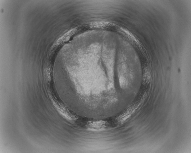 X0000085730452200704131623