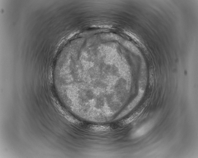 X0000085730453200704131623