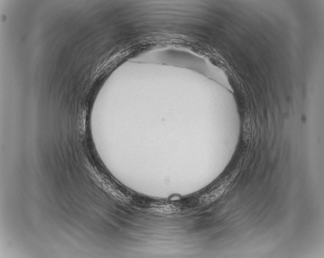 X0000085730454200704131623