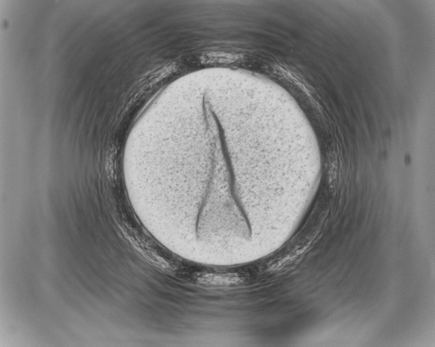 X0000085730455200704131623