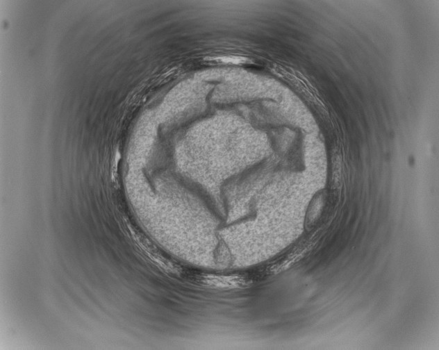 X0000085730457200704131623