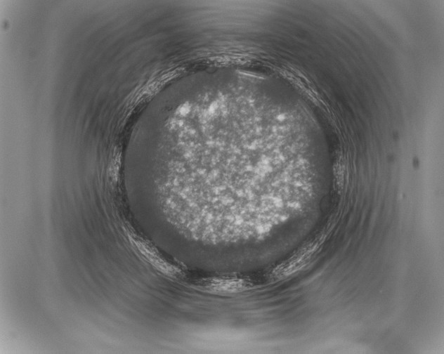 X0000085730458200704131623