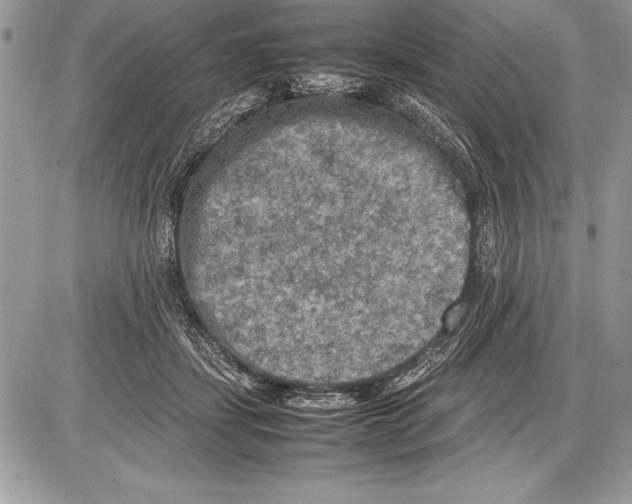 X0000085730459200704131623