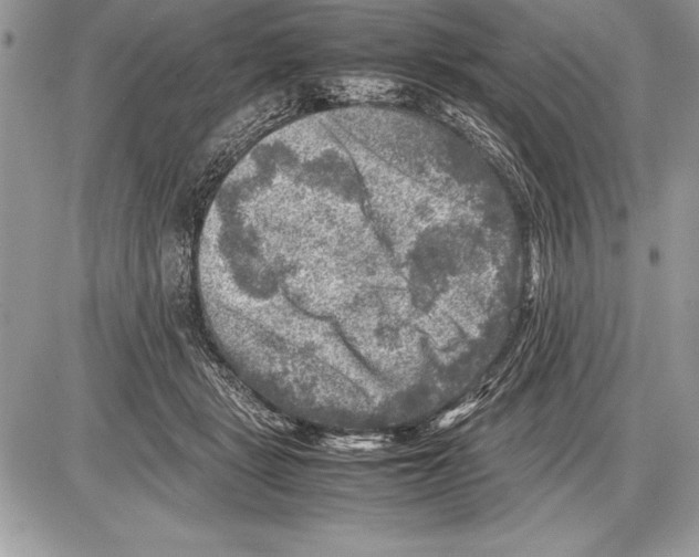 X0000085730461200704131623