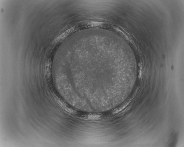 X0000085730462200704131623