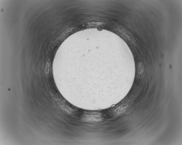 X0000085730463200704131623