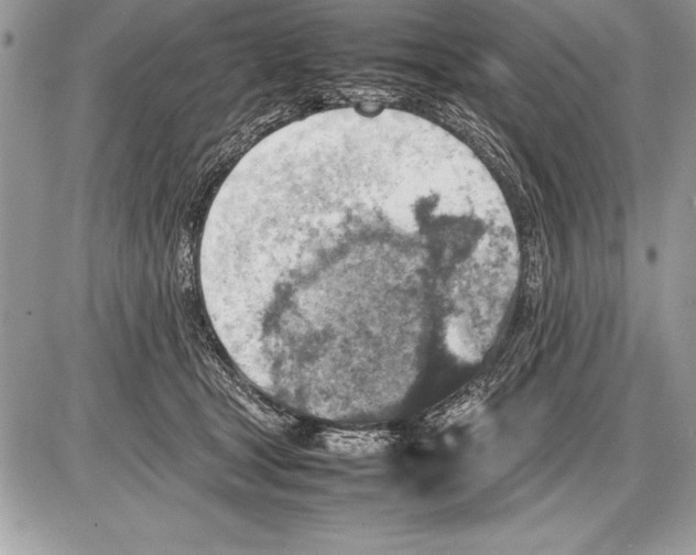 X0000085730465200704131624