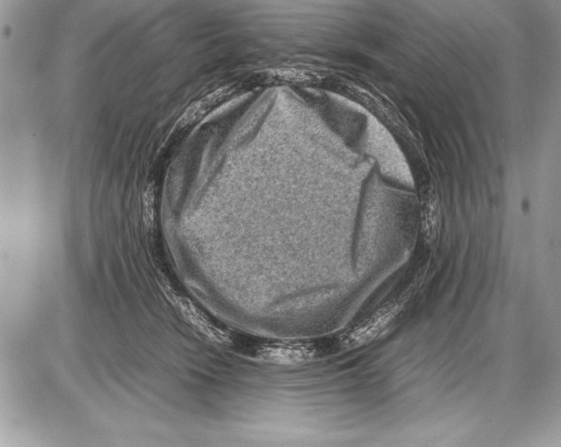 X0000085730466200704131624