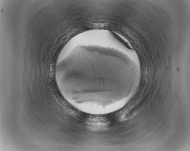 X0000085730467200704131624