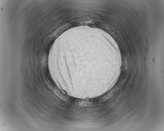 X0000085730468200704131624