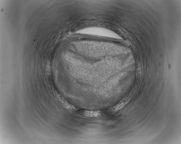 X0000085730469200704131624