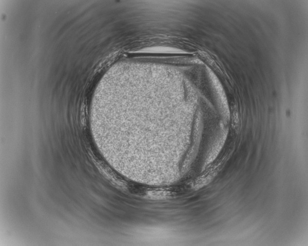 X0000085730470200704131624