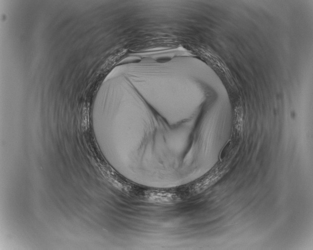 X0000085730471200704131624