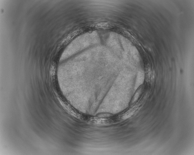 X0000085730472200704131624