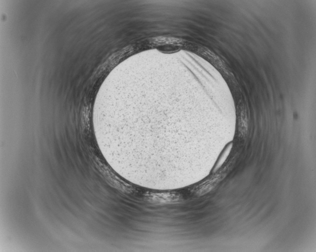 X0000085730473200704131624