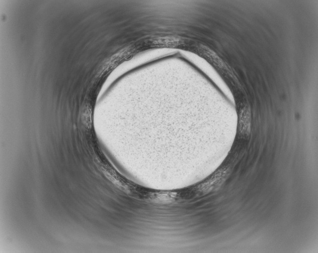 X0000085730474200704131624