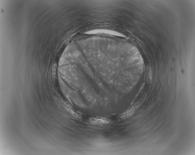 X0000085730475200704131624