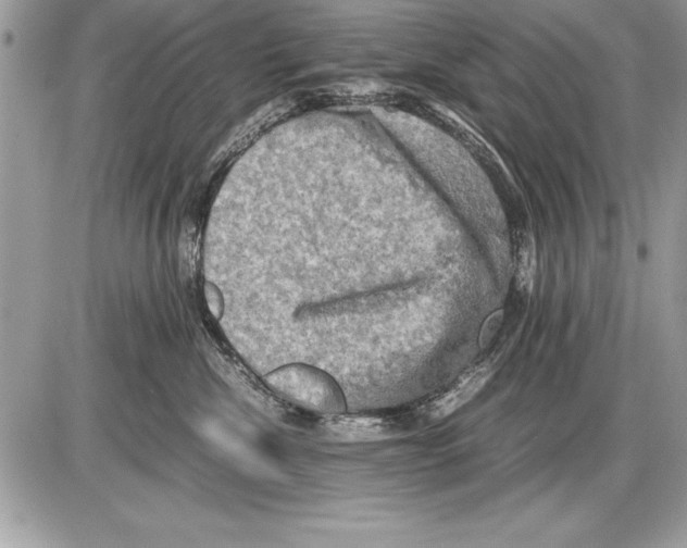 X0000085730476200704131624