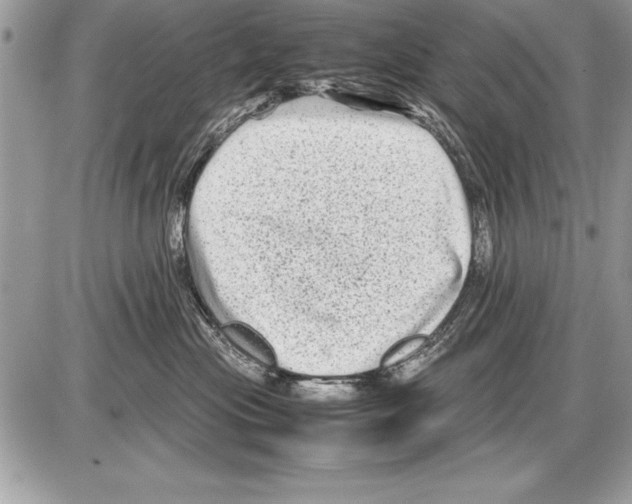 X0000085730477200704131624