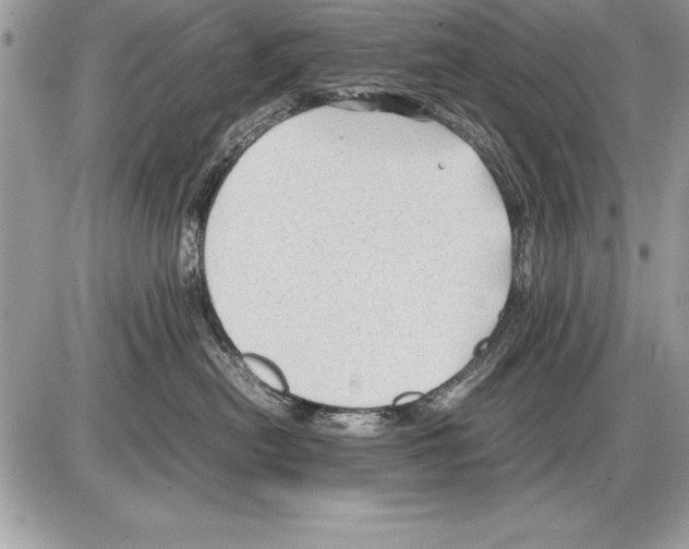 X0000085730478200704131624