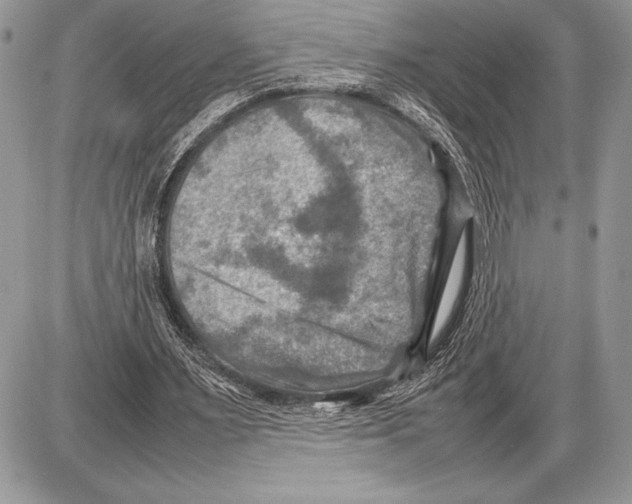 X0000085730483200704131623