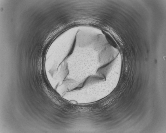 X0000085730486200704131623