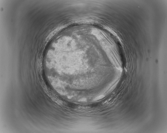 X0000085730487200704131623