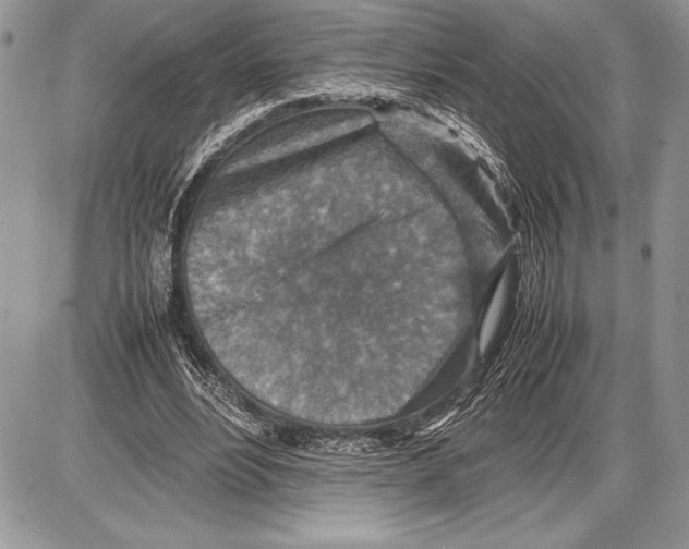 X0000085730488200704131623