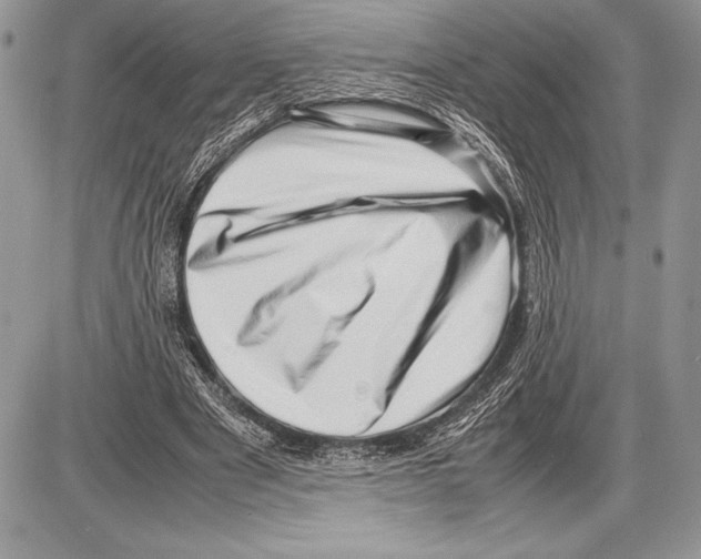 X0000085730489200704131623