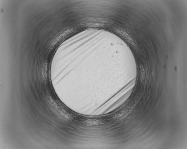 X0000085730490200704131623