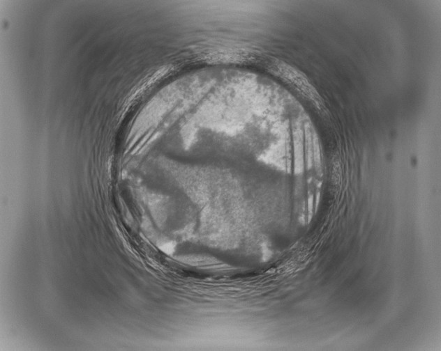 X0000085730491200704131623