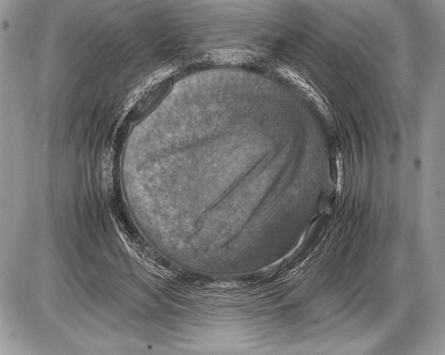 X0000085730492200704131623