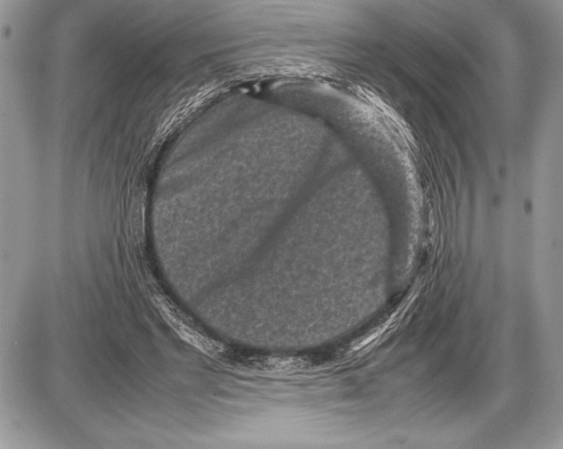 X0000085730493200704131623