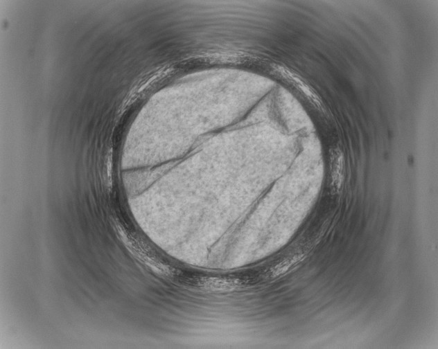 X0000085730494200704131623