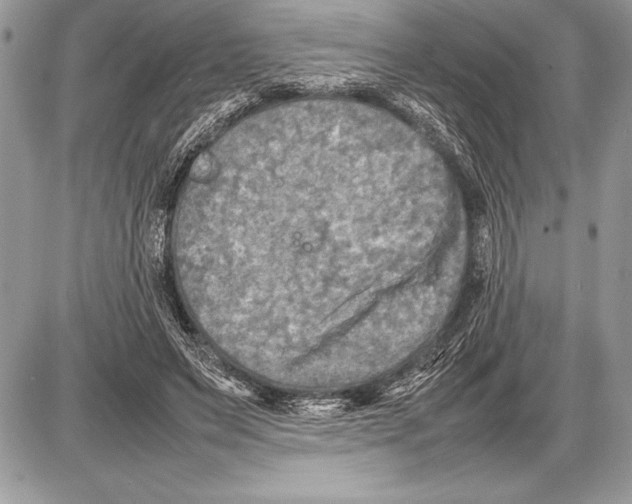 X0000085730495200704131623