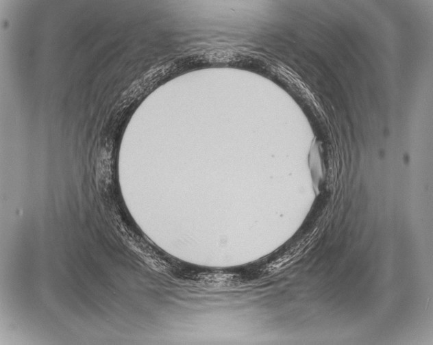 X0000085730497200704131623