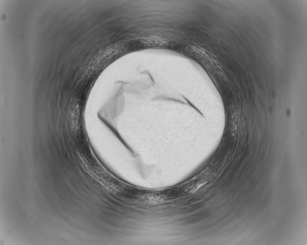 X0000085730498200704131623