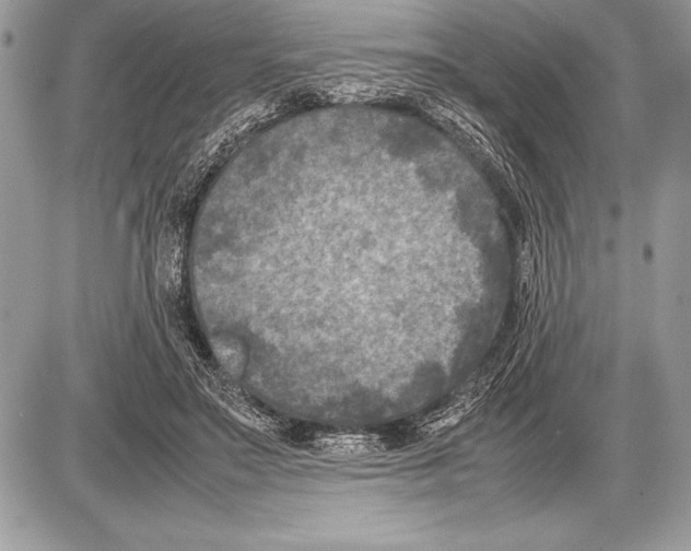 X0000085730499200704131623