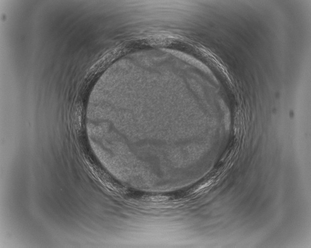 X0000085730501200704131623