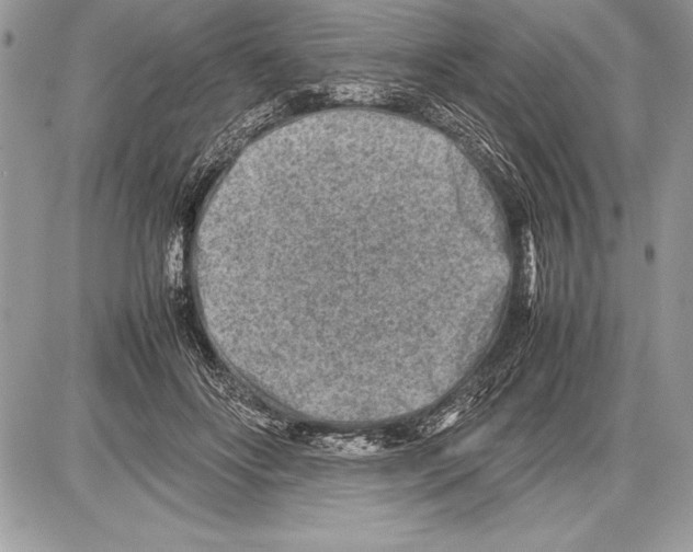 X0000085730502200704131623