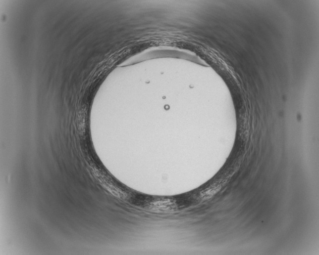 X0000085730505200704131623