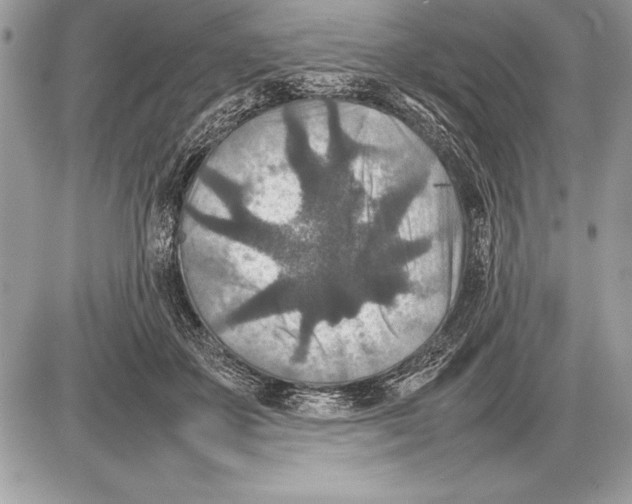 X0000085730507200704131623