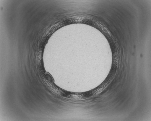 X0000085730509200704131622