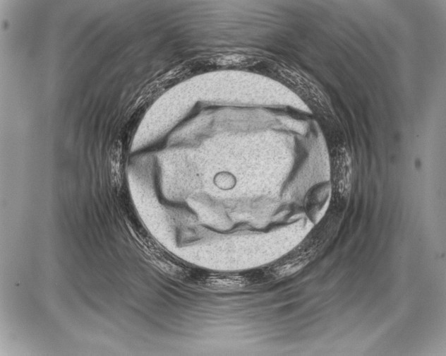 X0000085730510200704131622