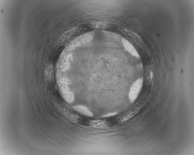 X0000085730511200704131622