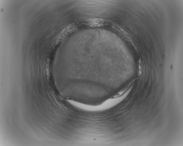 X0000085730512200704131622